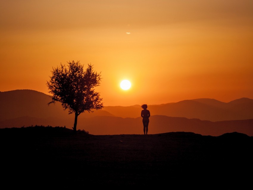 silhouette, sunset, tree, loneliness, sunlight