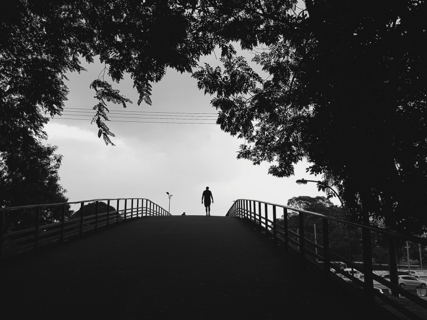 Silhouette Trees Bw Walk Lonely Loneliness Background