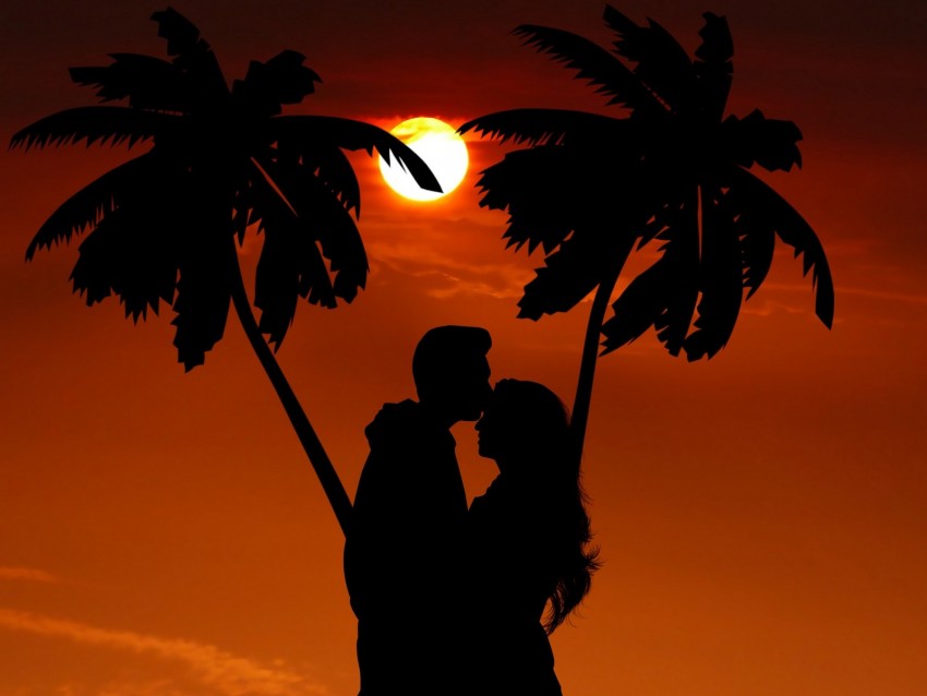 silhouettes, couple, hug, palm, night, romance