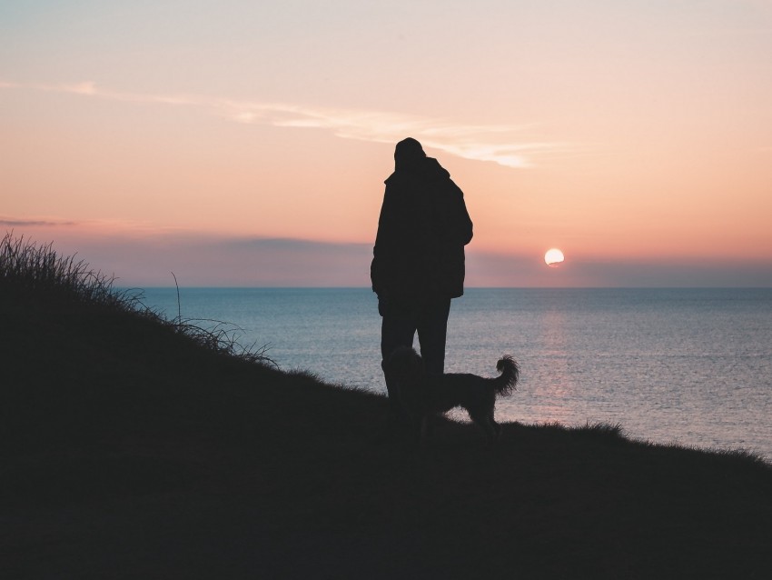 silhouettes, man, dog, friends, walk