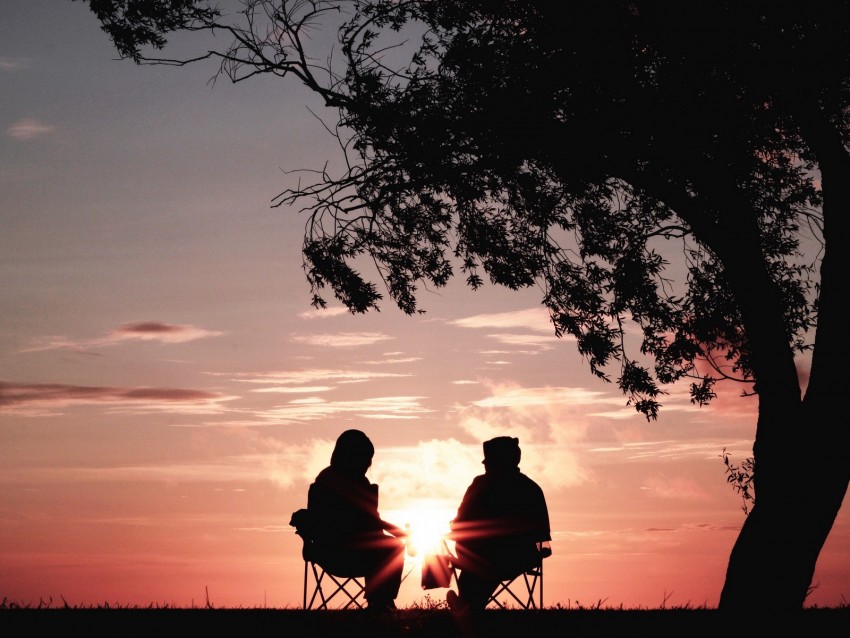 silhouettes, sunset, tree, sun, rays