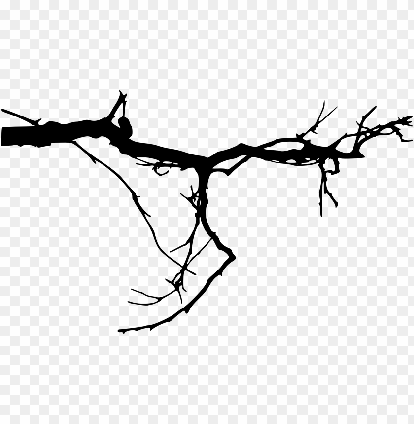 Black silhouette of a tree branch with twigs and twining limbs PNG