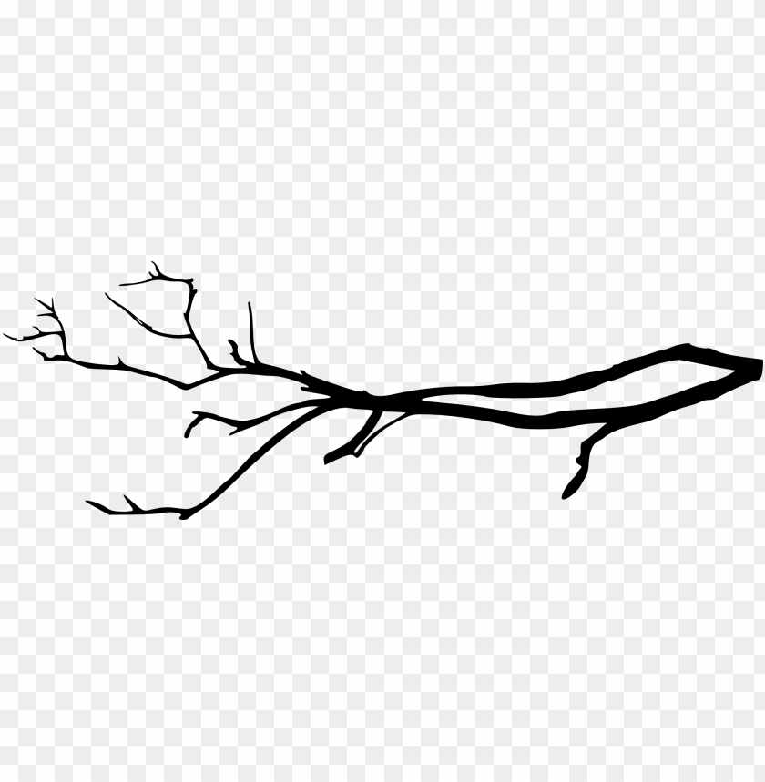 A black silhouette of a tree branch on a transparent background PNG