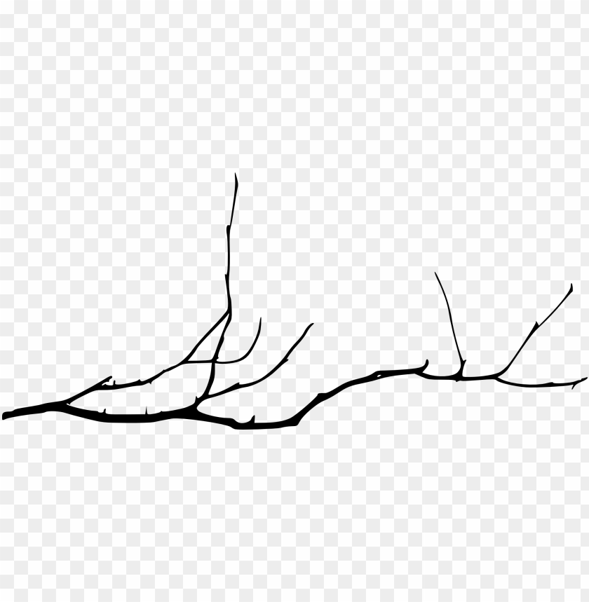 Black branch silhouette on a transparent background PNG