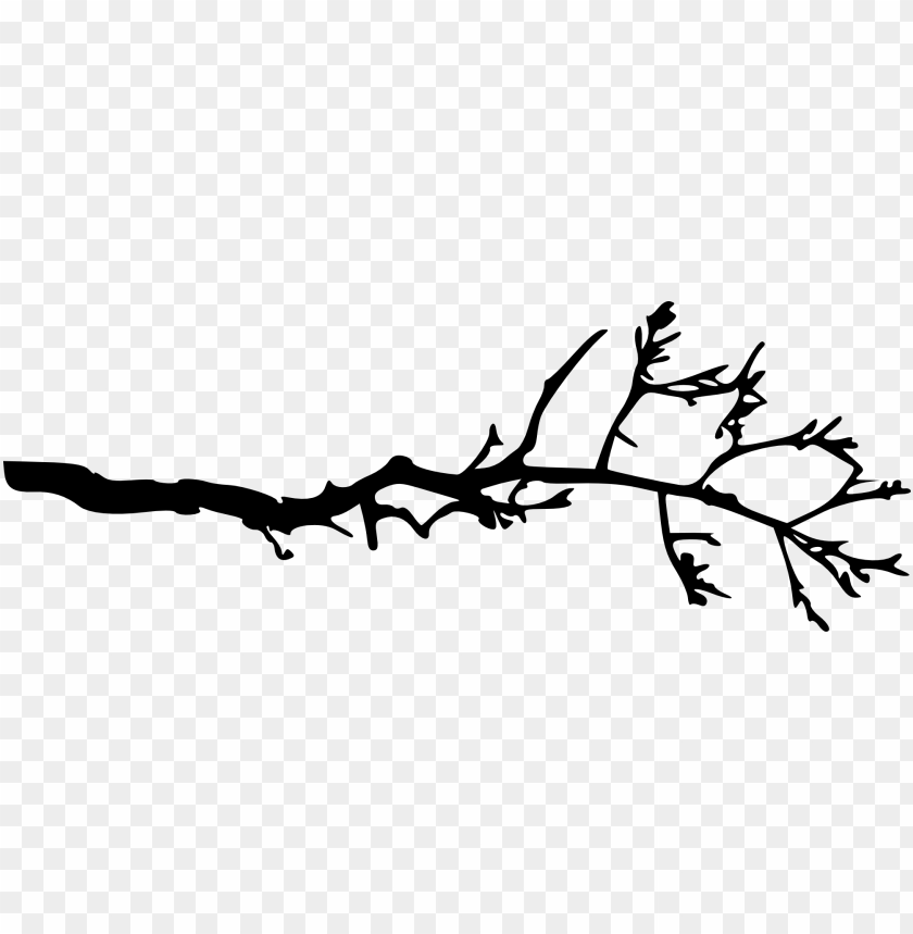 Black silhouette of a branch with several small twigs PNG