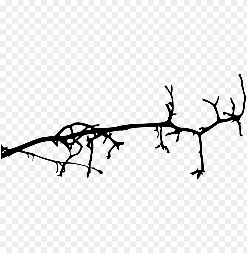 Black silhouette of a twisted tree branch with many small twigs PNG