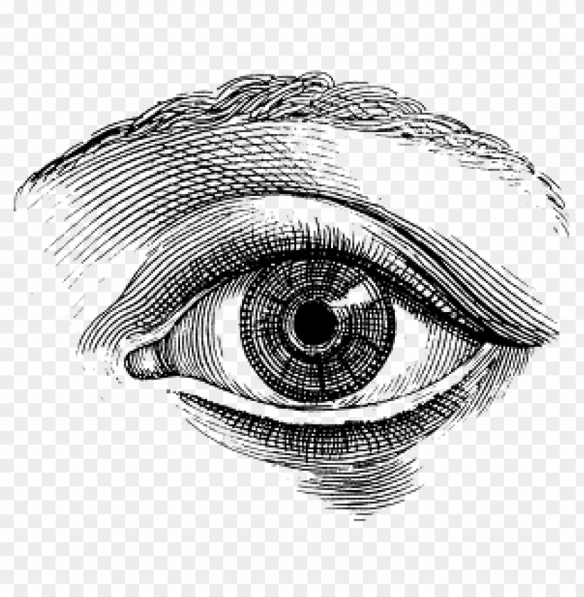 people, eyes, single eye vintage drawing, 