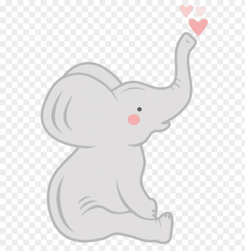 baby elephant, black baby, baby chick, baby shower, baby boy, baby face