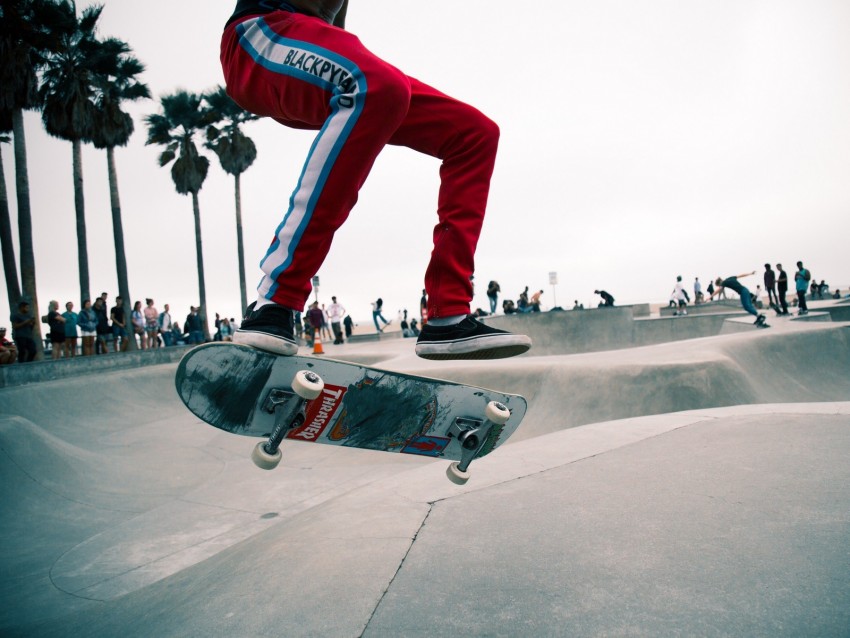 skate, skater, jump, trick, skate park, venice, los angeles