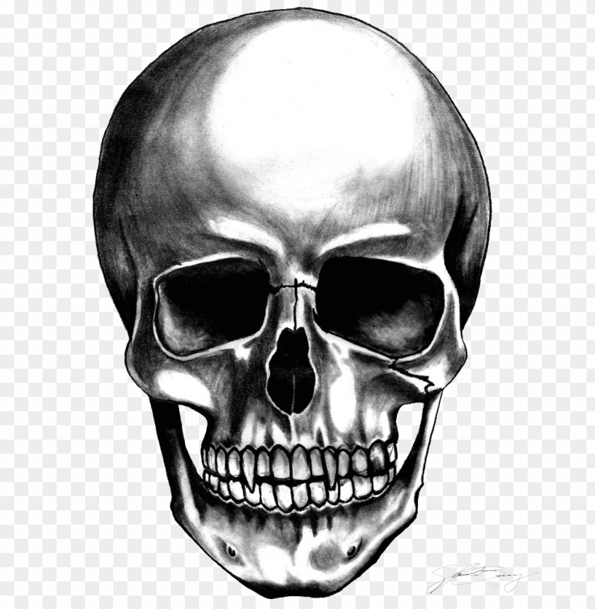 
skull
, 
human skull
, 
skeleton skull
, 
brain holder
, 
clipart
, 
head
, 
grunge
