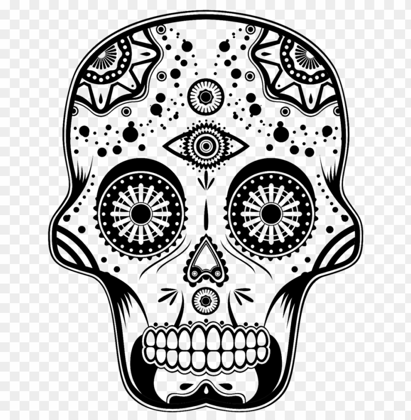 
skull
, 
human skull
, 
skeleton skull
, 
brain holder
, 
clipart
, 
head
, 
grunge
