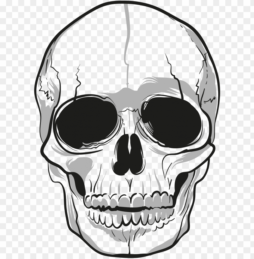 
skull
, 
human skull
, 
skeleton skull
, 
brain holder
, 
clipart
, 
head
, 
grunge
