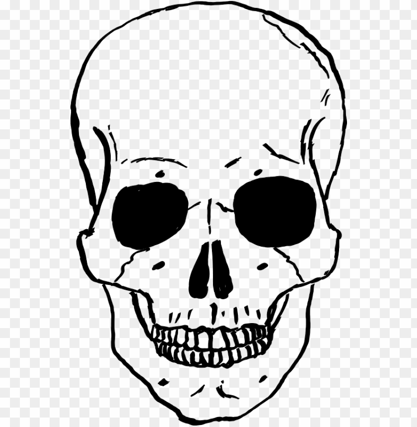 
skull
, 
human skull
, 
skeleton skull
, 
brain holder
, 
clipart
, 
head
, 
grunge
