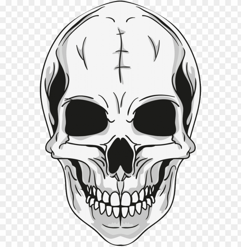 skull, anatomy, bone structure, human skull, art illustration, graphic design, monochrome art