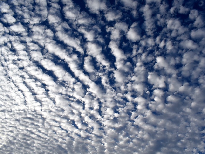 sky, clouds, curly, white, summer