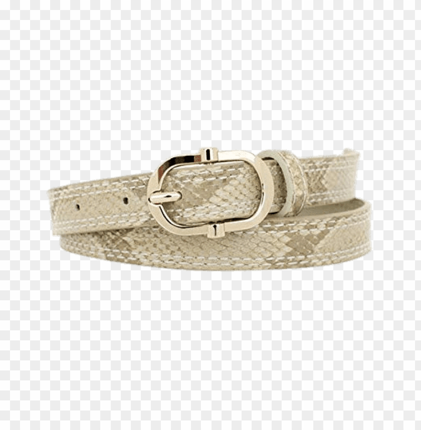 miscellaneous, snakeskin, snakeskin pattern belt, 