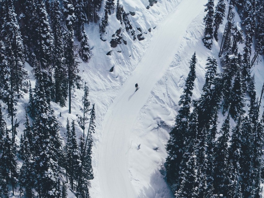 snow, mountains, trees, aerial view