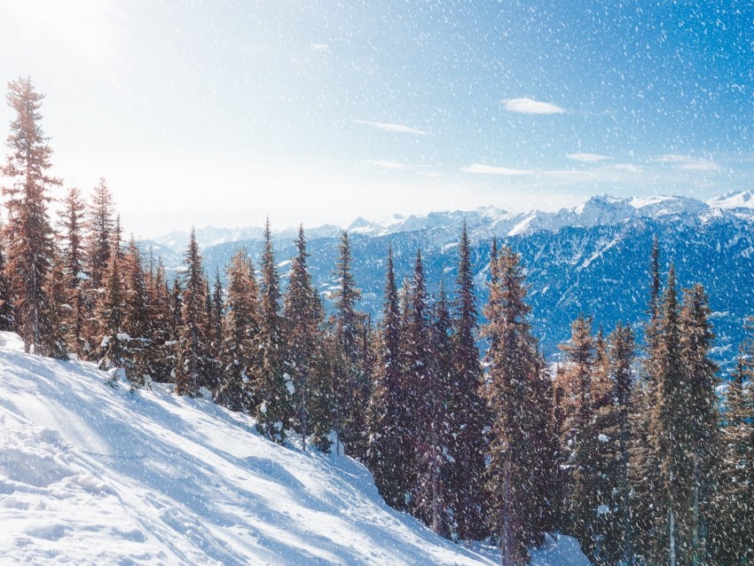 snow, slope, mountains, winter, trees, snowfall