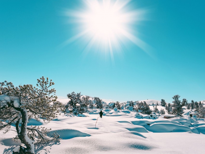 Snow Sun Landscape Winter Background