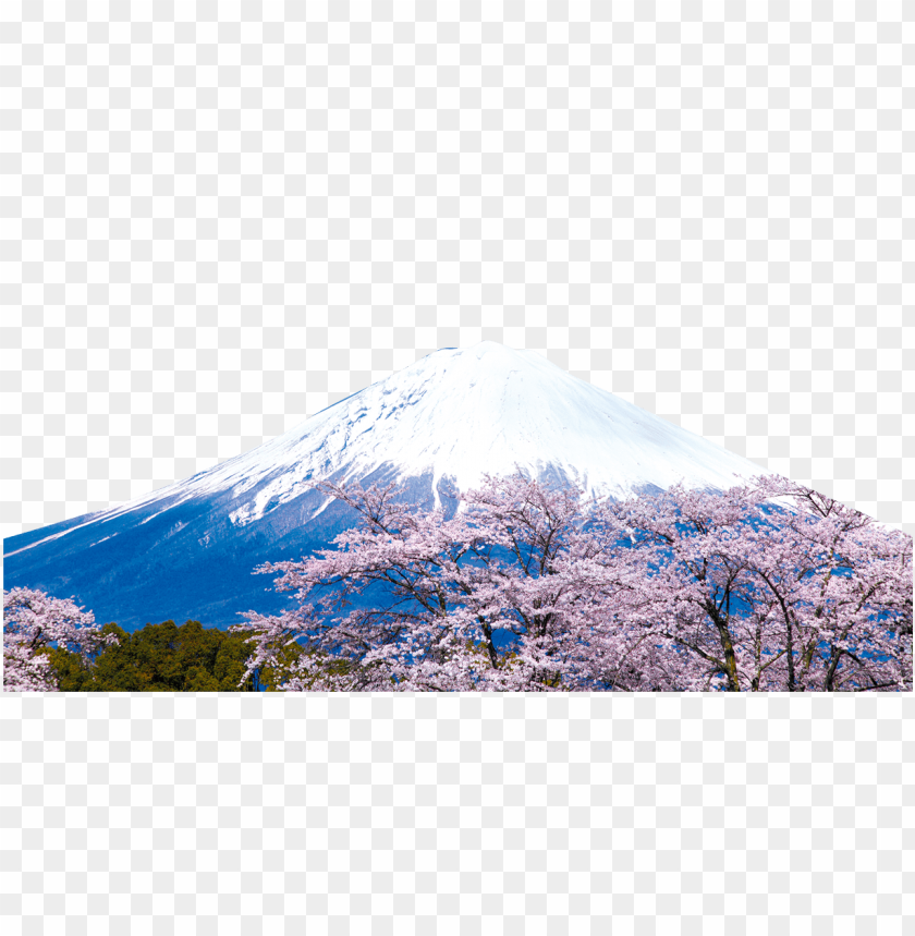 Mountains, Nature, Travel, Photography, Cherry Blossoms