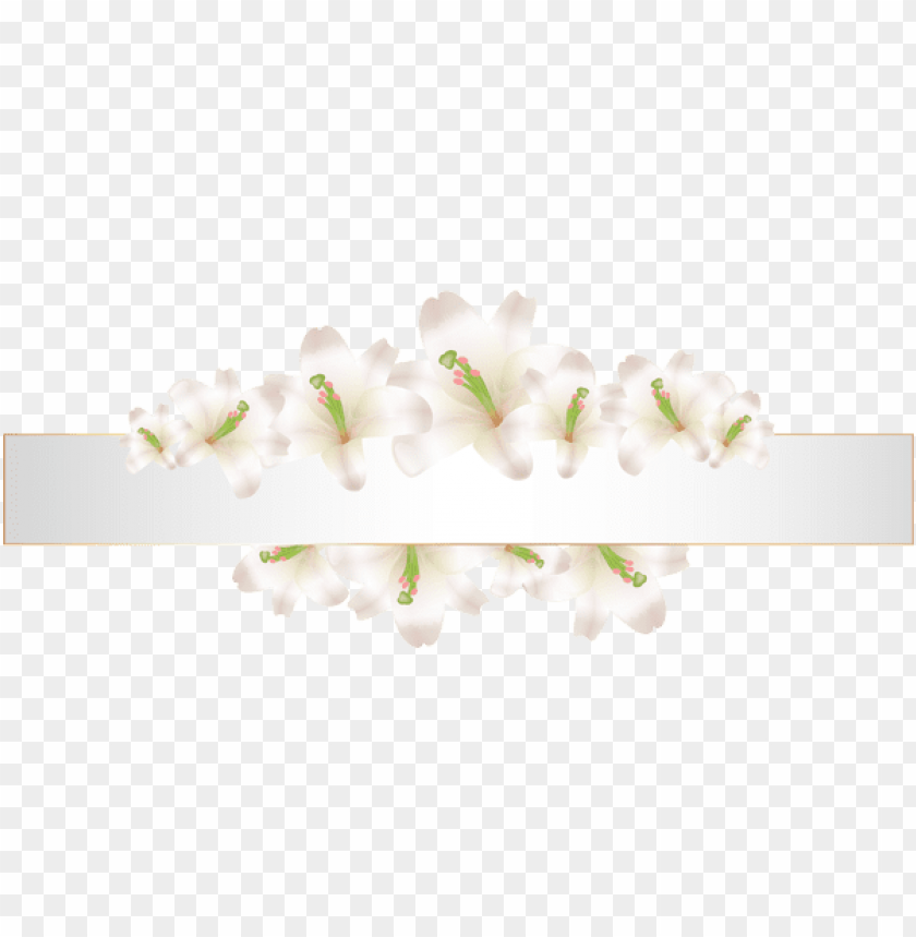 soft deco banner with flowers png