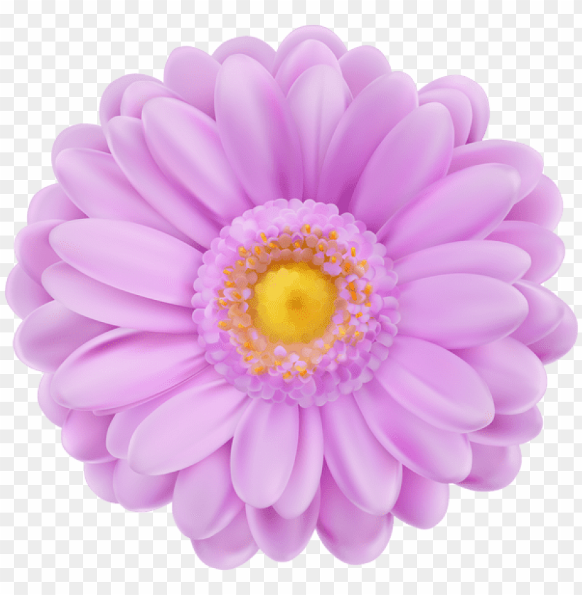 soft purple flower