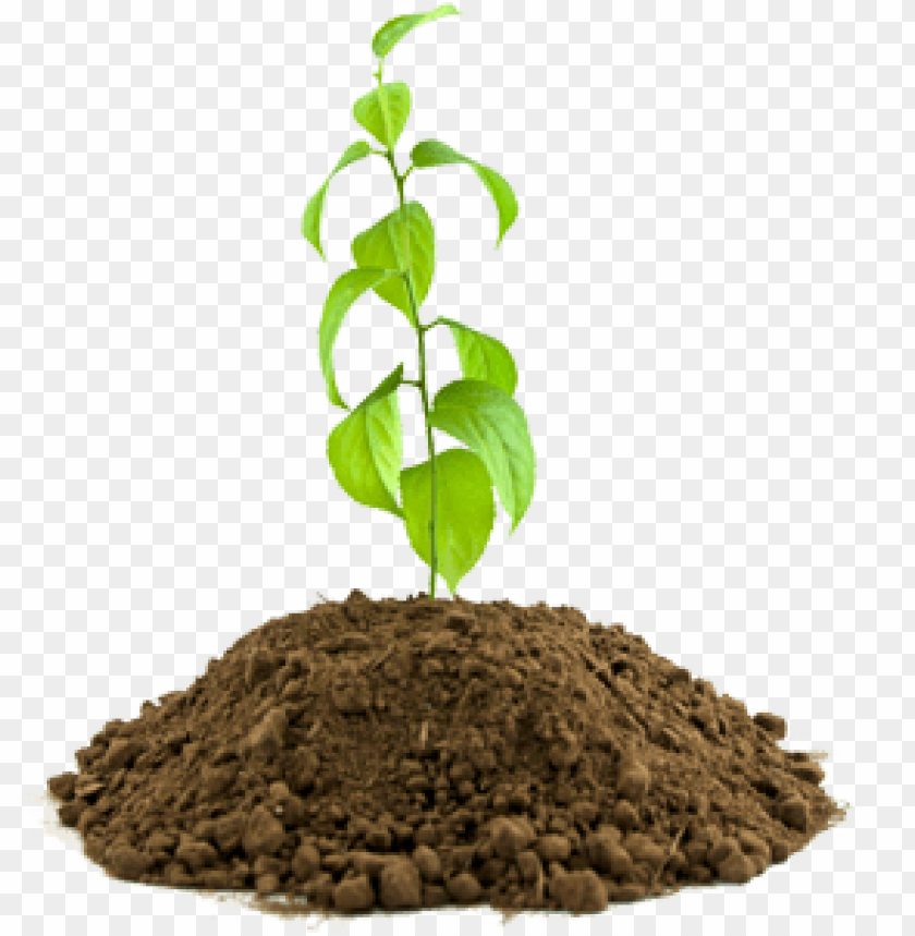 soil png, png,soil