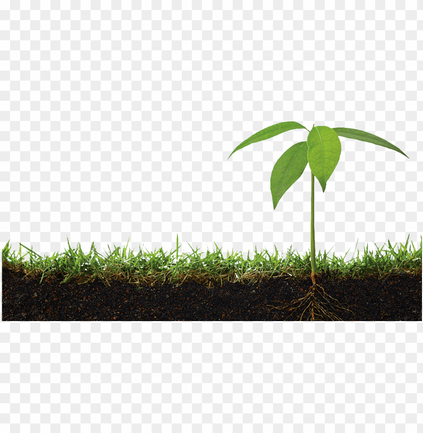 soil png, png,soil