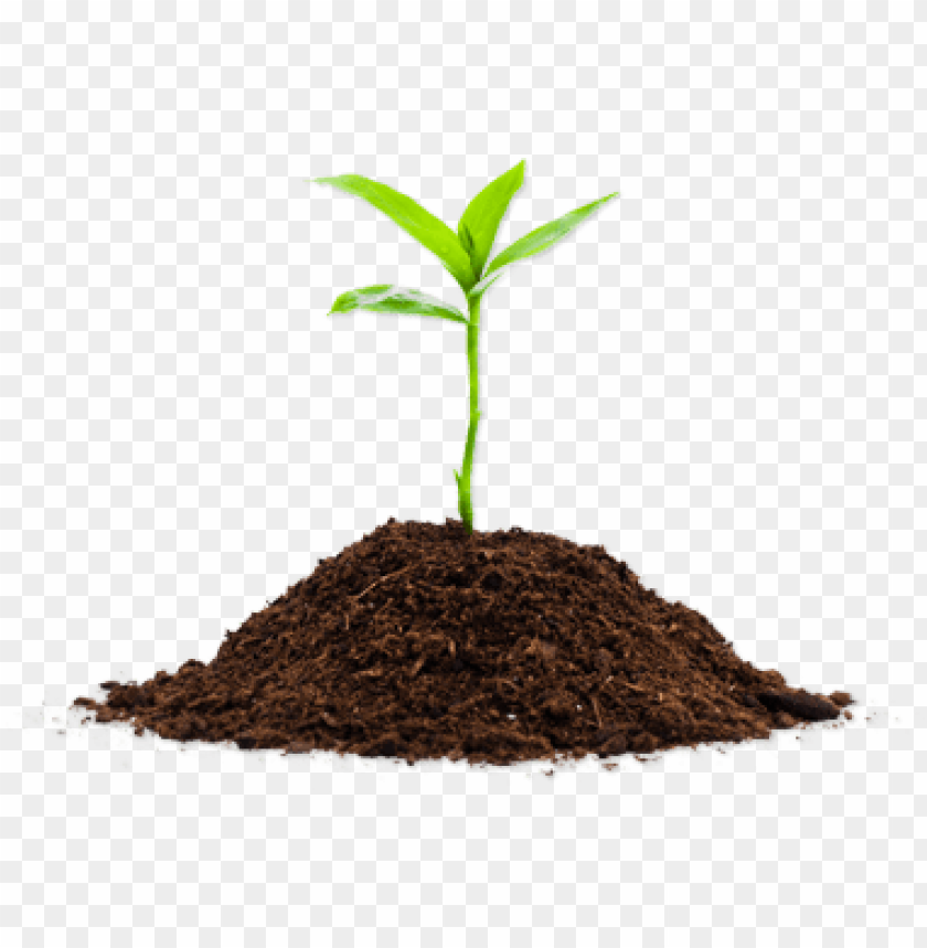 soil png, png,soil