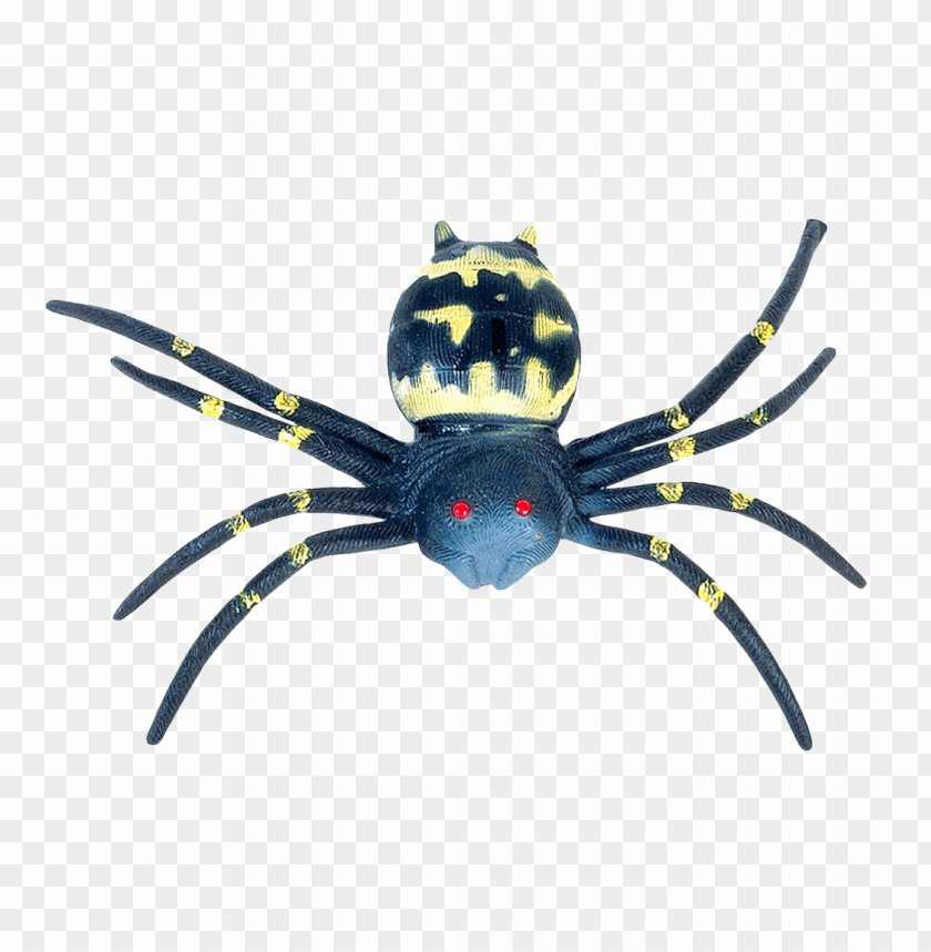 
animal
, 
spider
, 
dangerous
, 
scary
, 
fear
, 
creepy
, 
giant
