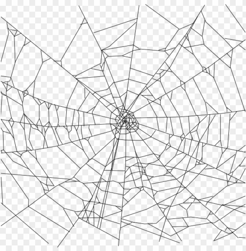 spider web, frame, pattern, wallpaper, reptile, abstract, square