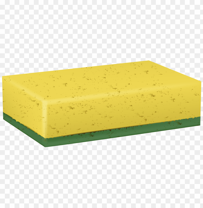 sponge