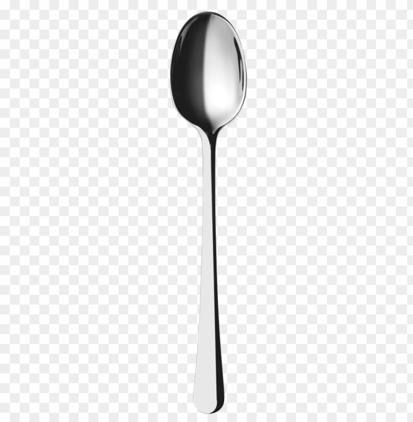 
spoon
, 
small shallow bowl
, 
oval
, 
round
, 
dessert spoon
, 
cutty
, 
spatula
