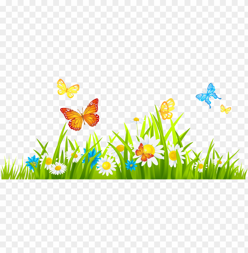 butterflies, daisies, colorful butterflies, wildflowers, green grass, nature scene, summer garden