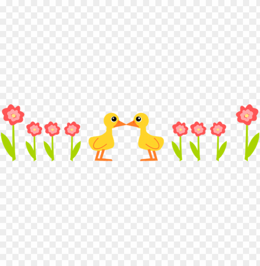 ducks, flowers, spring, nature, garden, colorful, cute animals