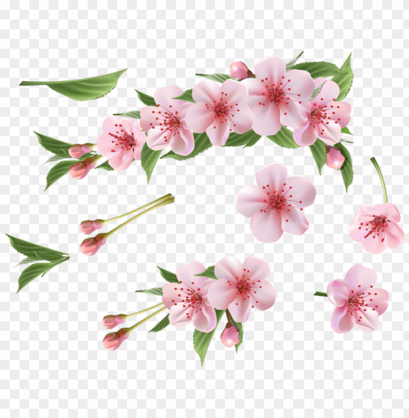 spring png