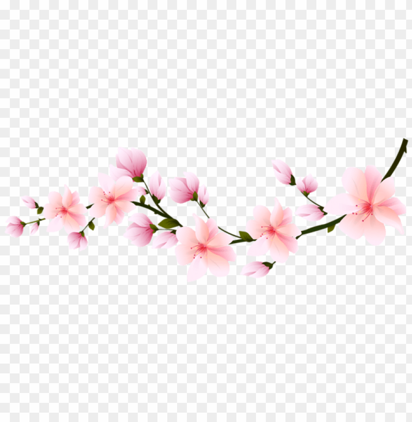 spring png