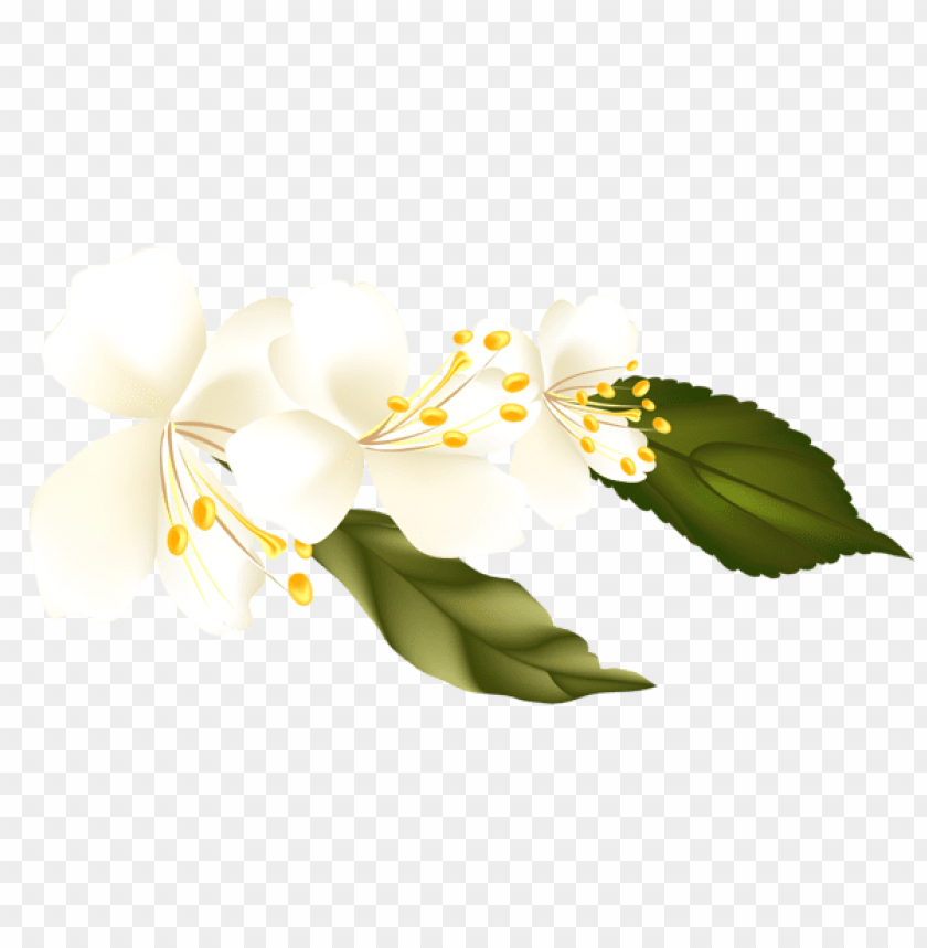 spring png