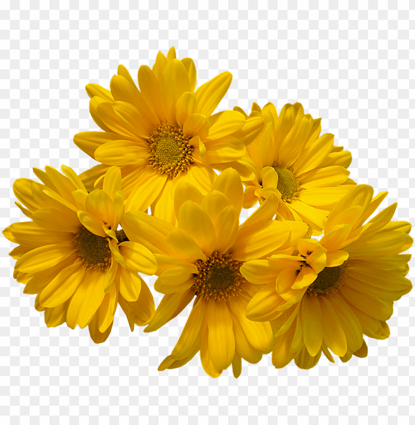 spring flower bouquet png, spring,bouquet,png,flower,flowerbouquet,springflower