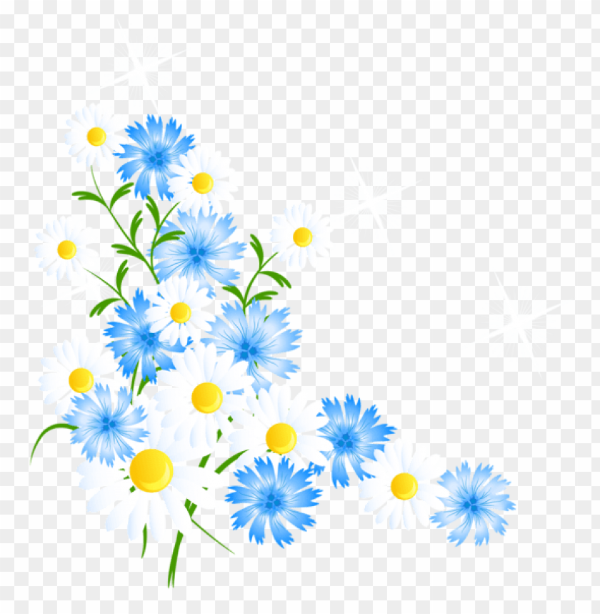 flowers png, spring png, flower png