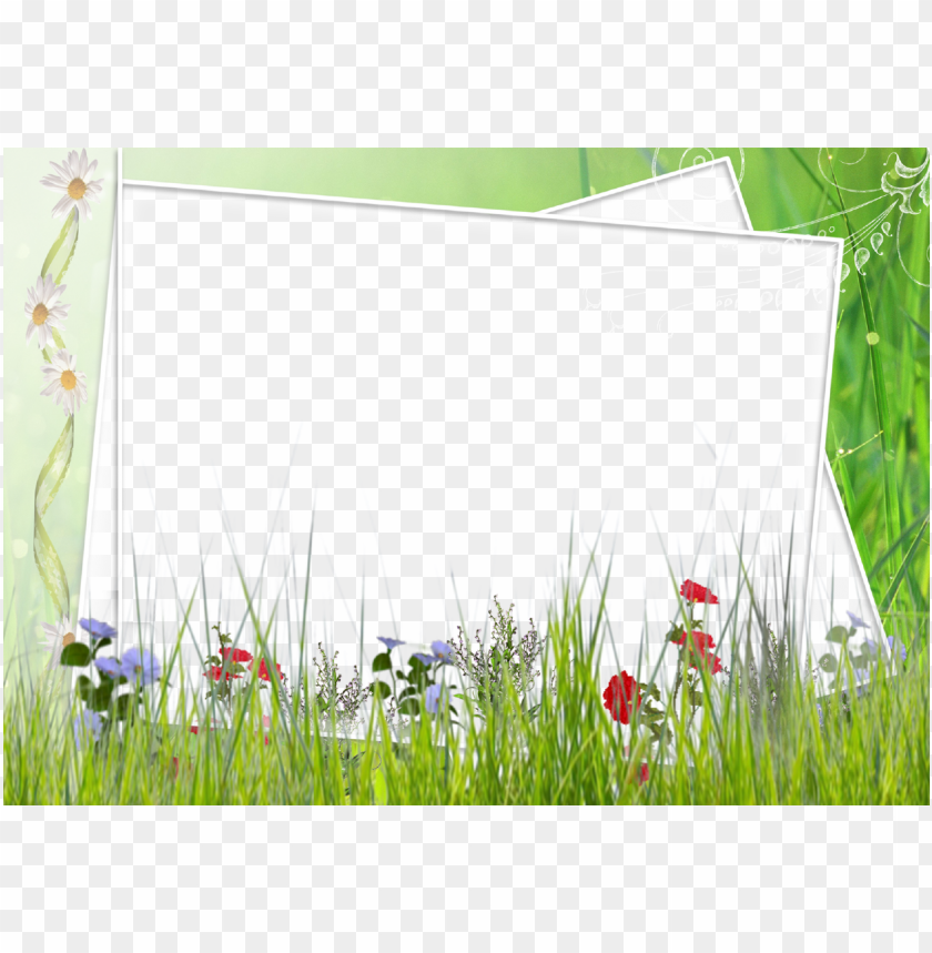 spring frame png, png,frame,spring