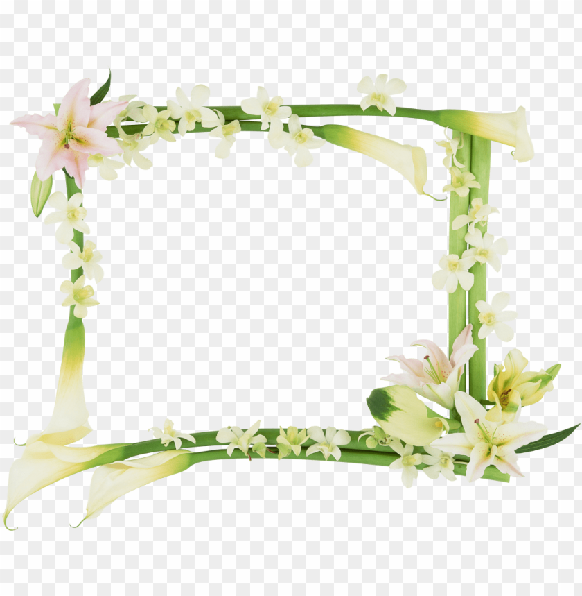 flower frame, white flowers, decorative flowers, calla lilies, flower arrangement, floral design, nature decor