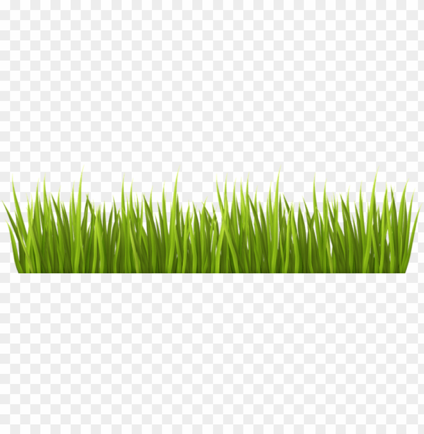 grass ,grounds ,coverings ,herb , grass , weed , pasture 