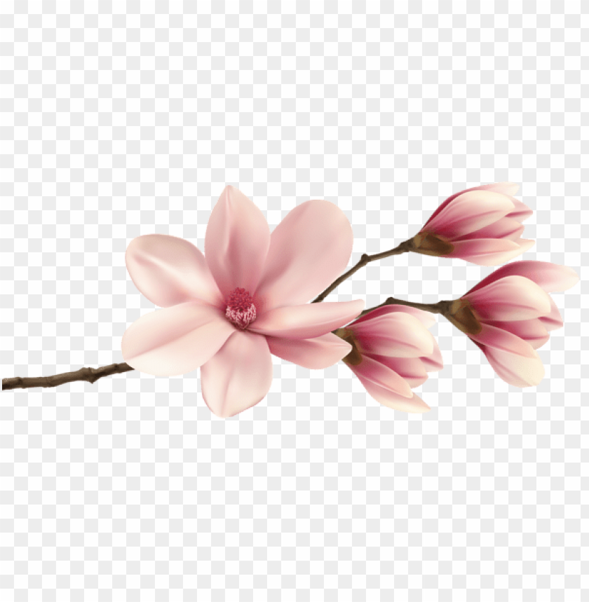 spring png