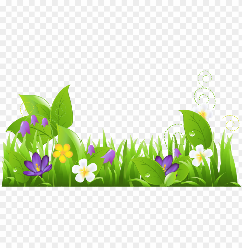 flowers, green leaves, garden, nature, grass, purple blooms, white petals