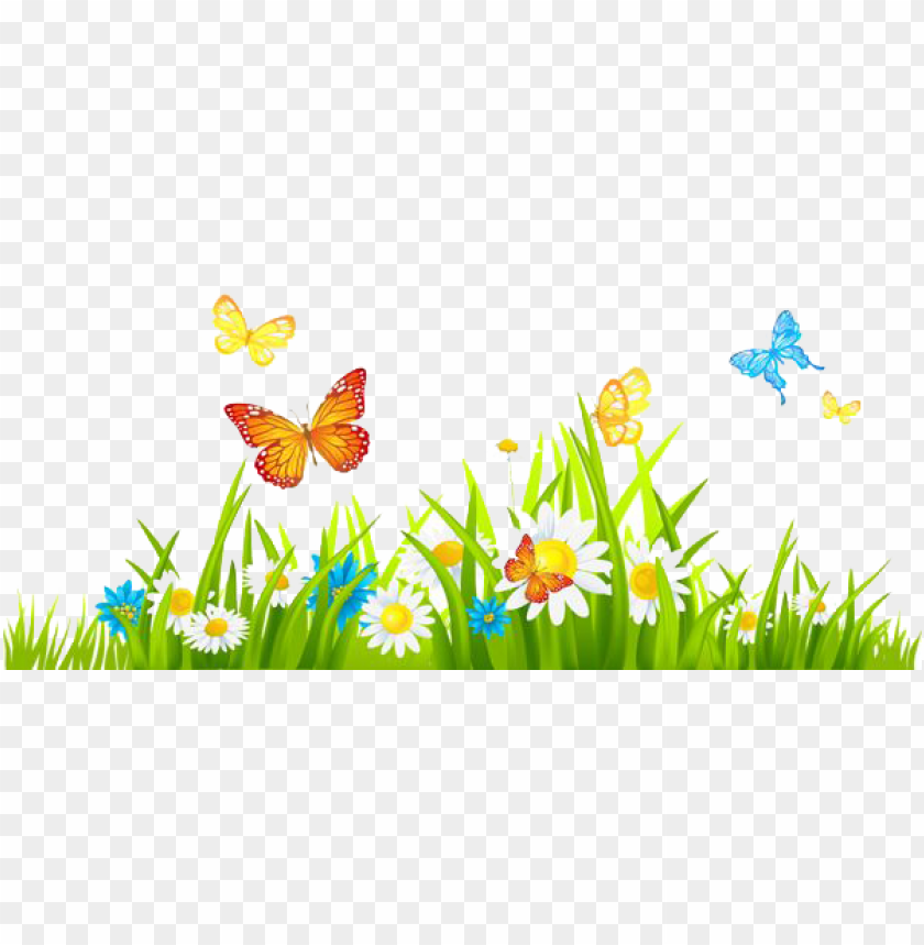 butterfly, daisy, wildflower, green grass, blue butterfly, yellow butterfly, nature scenery