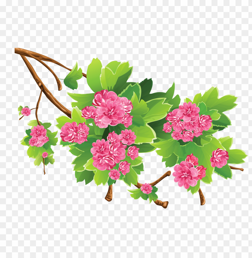 flowers, pink blossoms, greenery, spring blooms, botanical illustration, flowering branch, ornamental plants