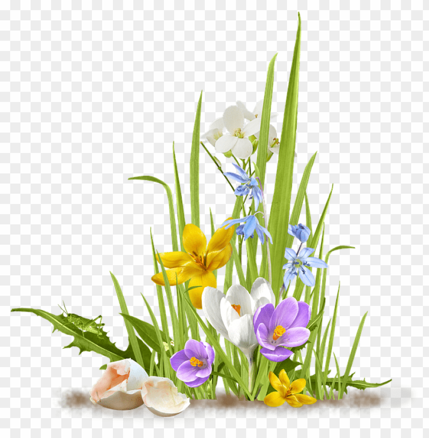 flowers, spring blooms, colorful petals, green grass, yellow flowers, white flowers, purple flowers