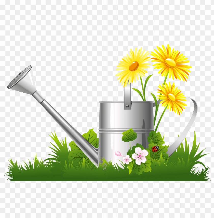 watering can, flowers, daisies, garden, greenery, garden tools, nature