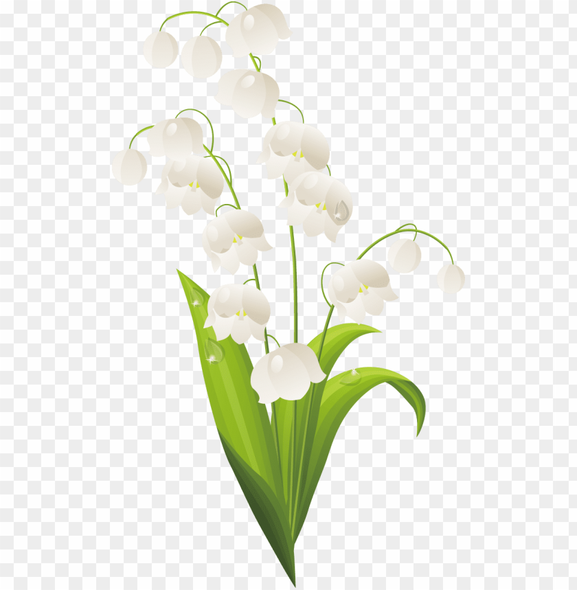 flowers, white flowers, lily of the valley, spring blooms, garden plants, floral design, nature decor